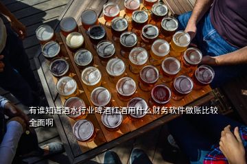 有誰知道酒水行業(yè)啤酒紅酒用什么財(cái)務(wù)軟件做賬比較全面啊