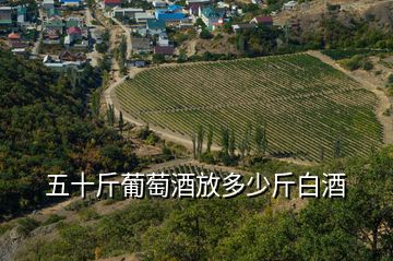 五十斤葡萄酒放多少斤白酒