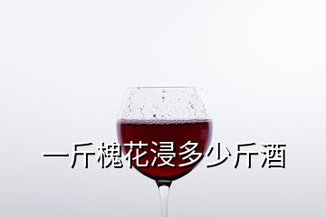 一斤槐花浸多少斤酒