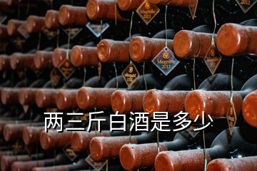 兩三斤白酒是多少