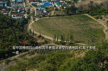 有中國神雨四川商標(biāo)百年老窖濃香型白酒地韻 紅瓶子多錢一瓶