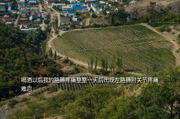 喝酒以后我的胳膊疼痛整整一天后出現(xiàn)左胳膊肘關(guān)節(jié)疼痛難忍