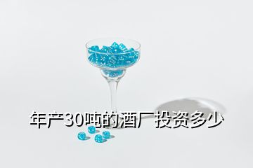 年產(chǎn)30噸的酒廠投資多少