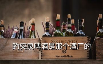 趵突泉啤酒是那個(gè)酒廠的