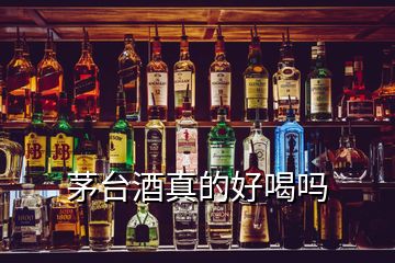 茅臺(tái)酒真的好喝嗎