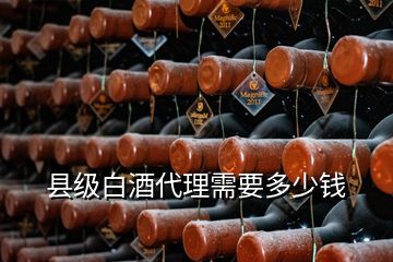 縣級白酒代理需要多少錢