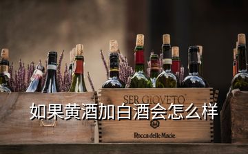 如果黃酒加白酒會(huì)怎么樣