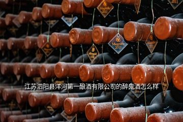 江蘇泗陽(yáng)縣洋河第一釀酒有限公司的醉鬼酒怎么樣