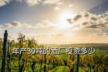 年產(chǎn)30噸的酒廠投資多少