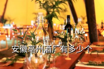 安徽亳州酒廠有多少個