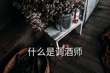 什么是調(diào)酒師