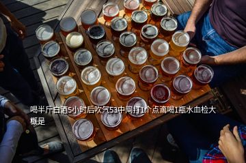 喝半斤白酒5小時后吹氣53中間打1個點滴喝1瓶水血檢大概是