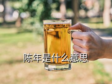 陳年是什么意思