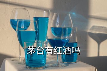 茅臺(tái)有紅酒嗎