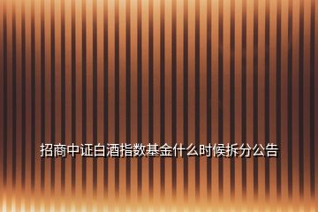 招商中證白酒指數(shù)基金什么時候拆分公告