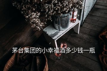 茅臺(tái)集團(tuán)的小幸福酒多少錢(qián)一瓶