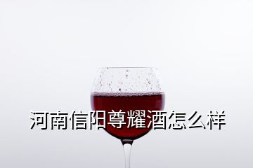 河南信陽尊耀酒怎么樣