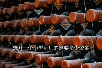 想開一個小型酒廠的需要多少資金