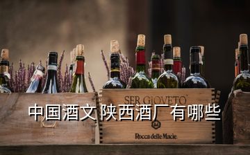 中國酒文 陜西酒廠有哪些