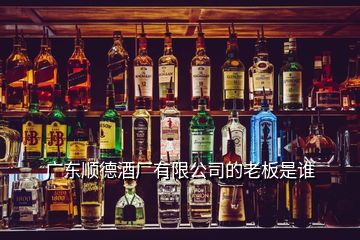 廣東順德酒廠有限公司的老板是誰