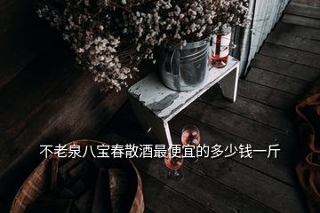 不老泉八寶春散酒最便宜的多少錢一斤