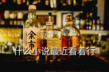 什么小說(shuō)最近看著行