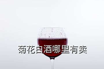 菊花白酒哪里有賣