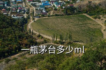 一瓶茅臺(tái)多少ml