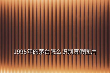 1995年的茅臺(tái)怎么識(shí)別真假圖片