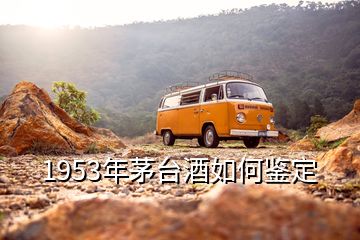 1953年茅臺酒如何鑒定