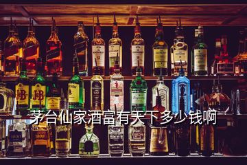 茅臺仙家酒富有天下多少錢啊