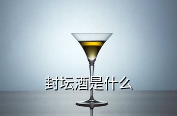 封壇酒是什么