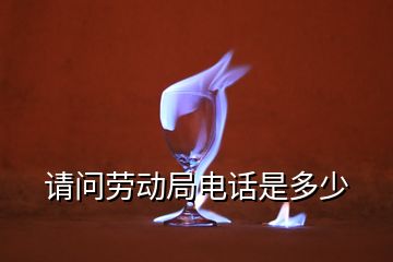 請問勞動(dòng)局電話是多少