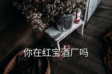 你在紅寶酒廠嗎