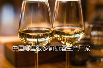 中國哪里很多葡萄酒生產(chǎn)廠家