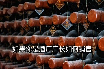 如果你是酒廠廠長(zhǎng)如何銷售