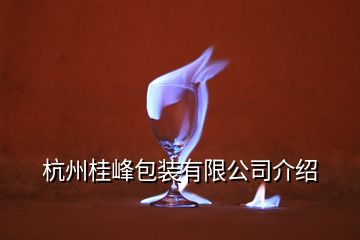 杭州桂峰包裝有限公司介紹