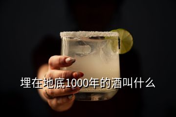 埋在地底1000年的酒叫什么