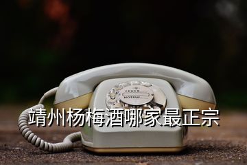 靖州楊梅酒哪家最正宗