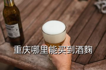 重慶哪里能買到酒麴