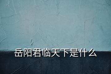 岳陽君臨天下是什么