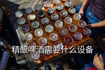 精釀啤酒需要什么設(shè)備