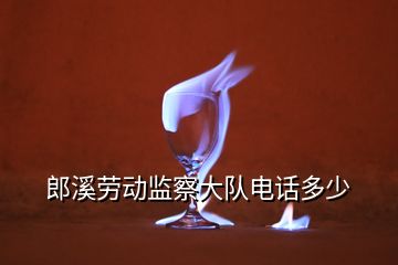 郎溪?jiǎng)趧?dòng)監(jiān)察大隊(duì)電話多少