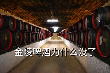 金陵啤酒為什么沒(méi)了