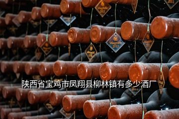 陜西省寶雞市鳳翔縣柳林鎮(zhèn)有多少酒廠