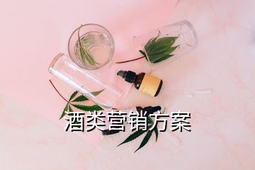 酒類營(yíng)銷方案