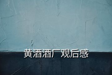 黃酒酒廠(chǎng)觀后感