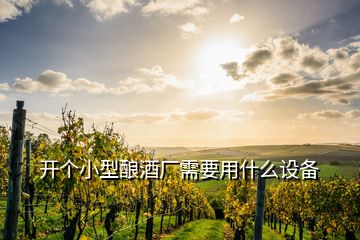 開個小型釀酒廠需要用什么設(shè)備