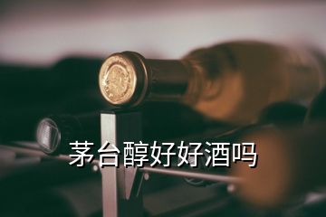 茅臺(tái)醇好好酒嗎