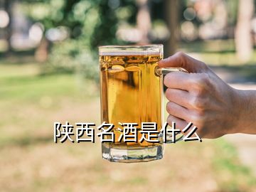 陜西名酒是什么